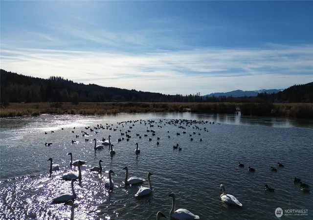 Land for sale at 0 105.33 Lincoln Crk Rd, Rochester, WA 98579 | MLS# NWM2331831