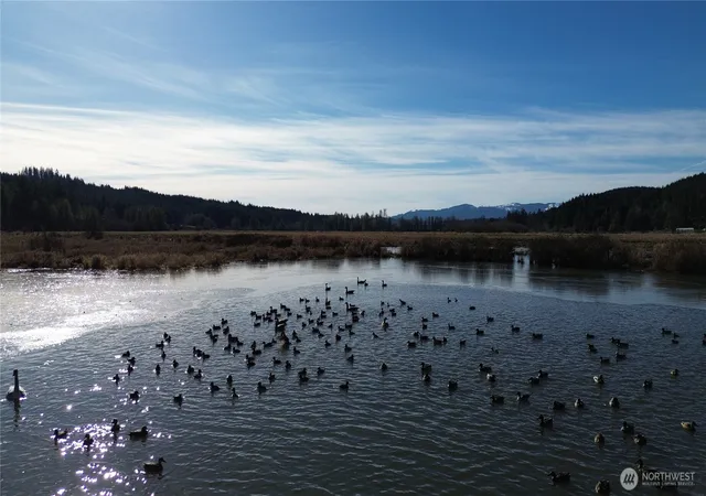 Photo 3 of Land for sale at 0 10533 Lincoln Crk Rd, Rochester, WA 98579 | MLS# NWM2331831 | Listing updated on 2026-09-17