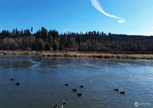 Photo 4 of Land for sale at 0 10533 Lincoln Crk Rd, Rochester, WA 98579 | MLS# NWM2331831 | Listing updated on 2026-09-17