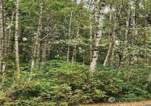 Photo 1 of Land for sale at 12 Chabot Rd, Copalis Beach, WA 98535 | MLS# NWM2333686 | Listing updated on 2026-09-17