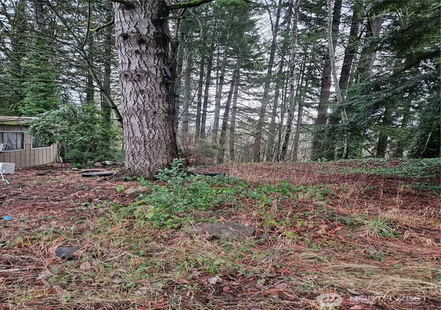 Photo 1 of Land for sale at 321 Ne Barbara Blvd, Belfair, WA 98528 | MLS# NWM2333880 | Listing updated on 2026-09-17