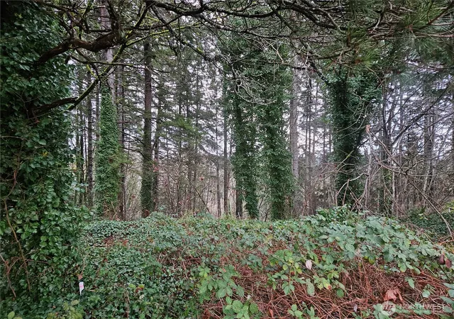 Photo 2 of Land for sale at 321 Ne Barbara Blvd, Belfair, WA 98528 | MLS# NWM2333880 | Listing updated on 2026-09-17