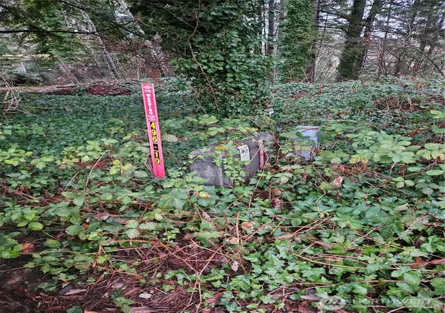 Photo 3 of Land for sale at 321 Ne Barbara Blvd, Belfair, WA 98528 | MLS# NWM2333880 | Listing updated on 2026-09-17