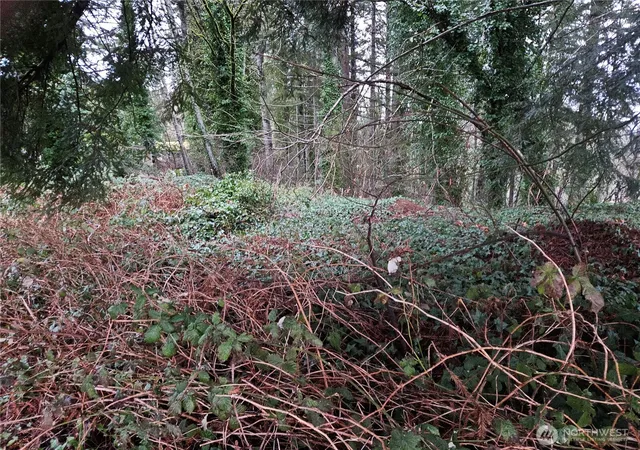 Photo 4 of Land for sale at 321 NE Barbara Blvd, Belfair, WA 98528 | MLS# NWM2333880 | Listing updated on 2026-09-17