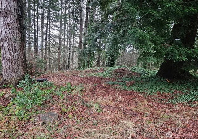 Photo 1 of Land for sale at 323 Ne Barbara Blvd, Belfair, WA 98528 | MLS# NWM2333883 | Listing updated on 2026-09-17