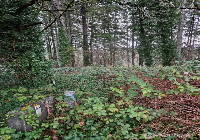Photo 2 of Land for sale at 323 Ne Barbara Blvd, Belfair, WA 98528 | MLS# NWM2333883 | Listing updated on 2026-09-17