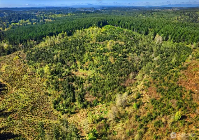 Photo 3 of Land for sale at 0 40 Acres 185th Ave SE, Tenino, WA 98589 | MLS# NWM2334701 | Listing updated on 2026-09-17
