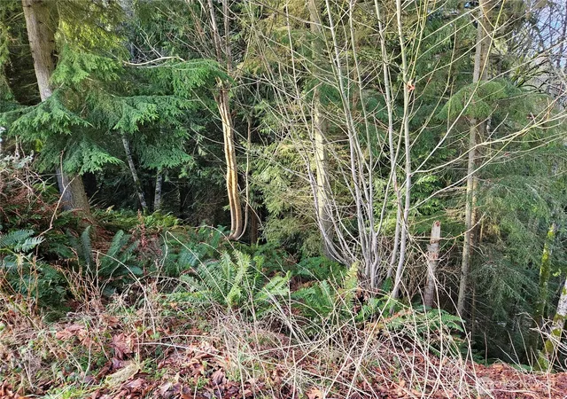 Photo 4 of Land for sale at 9999 E 5th St Lots 9 12 Blk 186, Port Angeles, WA 98362 | MLS# NWM2334861 | Listing updated on 2026-09-17