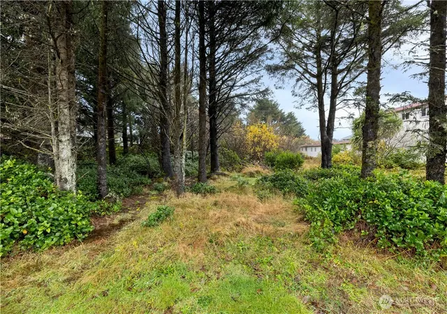 Photo 2 of Land for sale at 880 Ocean Shrs Blvd, Ocean Shores, WA 98569 | MLS# NWM2338088 | Listing updated on 2026-09-17