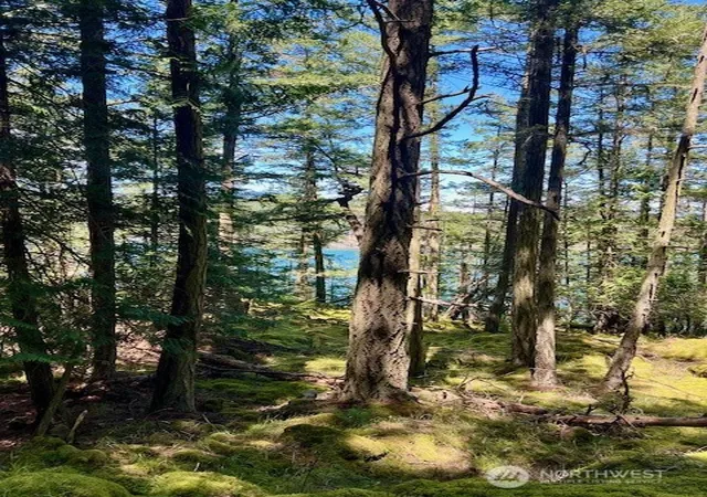 Photo 3 of Land for sale at 0 Lot 26 Peavine Way, Olga, WA 98279 | MLS# NWM2339037 | Listing updated on 2026-09-17