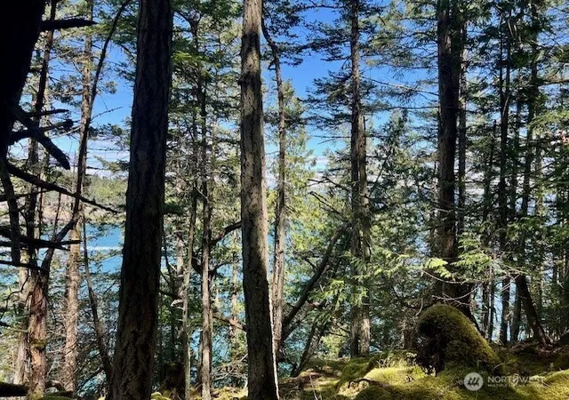 Photo 3 of Land for sale at 0 Lot 27 Peavine Way, Olga, WA 98279 | MLS# NWM2339038 | Listing updated on 2026-09-17