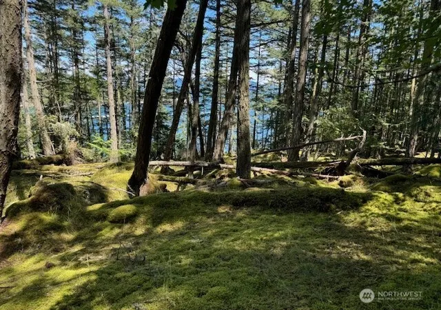 Photo 3 of Land for sale at 0 Lot 27 Peavine Way, Olga, WA 98279 | MLS# NWM2339038 | Listing updated on 2026-09-17