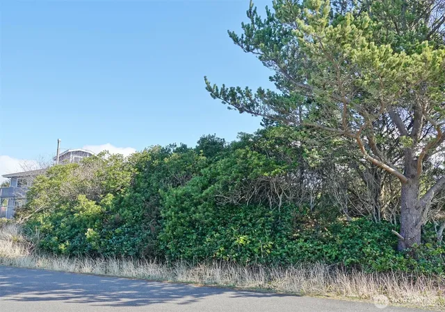 Photo 3 of Land for sale at 470 Sand Dune Ave SW, Ocean Shores, WA 98569 | MLS# NWM2339981 | Listing updated on 2026-09-17