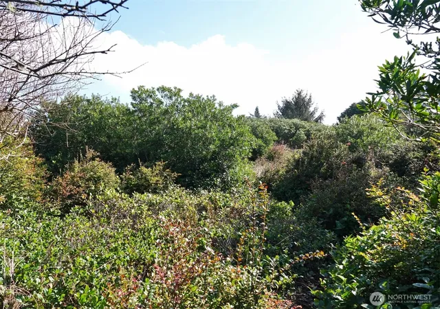 Photo 4 of Land for sale at 470 Sand Dune Ave SW, Ocean Shores, WA 98569 | MLS# NWM2339981 | Listing updated on 2026-09-17