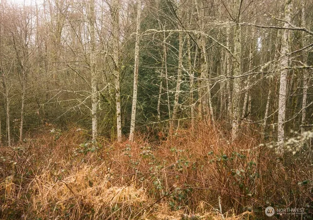 Photo 4 of Land for sale at 0 Princeton Ct, Bellingham, WA 98229 | MLS# NWM2341724 | Listing updated on 2026-09-17