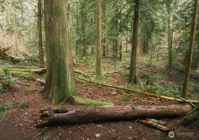 Photo 1 of Land for sale at 0 Lopez St, Bellingham, WA 98229 | MLS# NWM2341754 | Listing updated on 2026-09-17