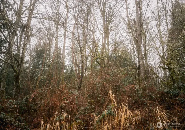 Photo 4 of Land for sale at 0 Lopez St, Bellingham, WA 98229 | MLS# NWM2341754 | Listing updated on 2026-09-17