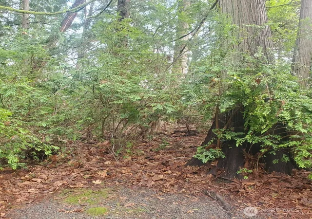 Photo 2 of Land for sale at 432 E Pointes Dr, Shelton, WA 98584 | MLS# NWM2342007 | Listing updated on 2026-09-17