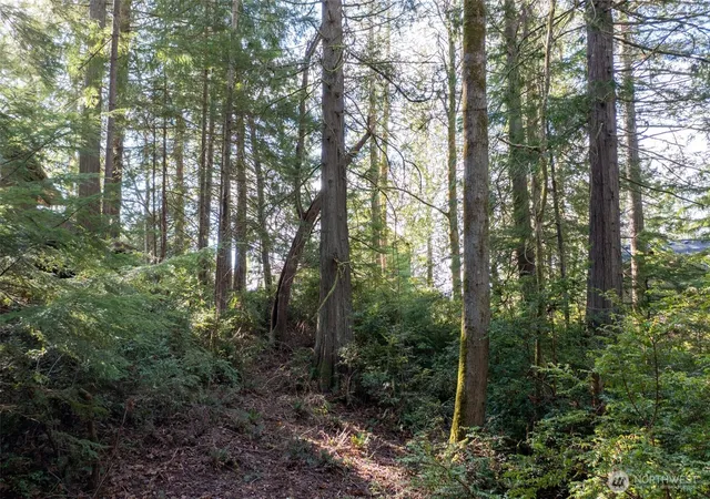 Photo 3 of Land for sale at 432 E Pointes Dr, Shelton, WA 98584 | MLS# NWM2342007 | Listing updated on 2026-09-17