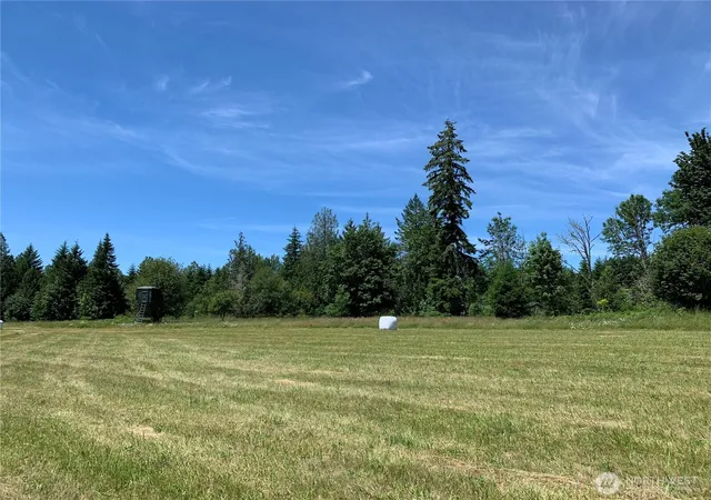 Photo 3 of Land for sale at 178 Mask Ln, Toutle, WA 98649 | MLS# NWM2342558 | Listing updated on 2026-09-17