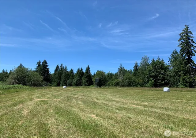 Photo 4 of Land for sale at 178 Mask Ln, Toutle, WA 98649 | MLS# NWM2342558 | Listing updated on 2026-09-17