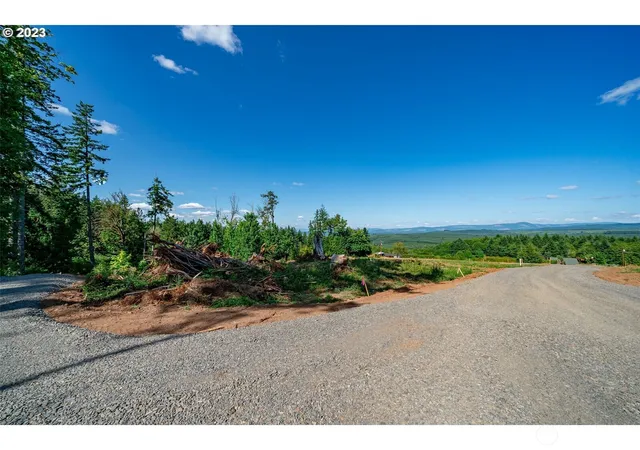 Photo 1 of Land for sale at 0 S Silver Lake Lot #1 Rd, Castle Rock, WA 98611 | MLS# NWM2343564 | Listing updated on 2026-09-17