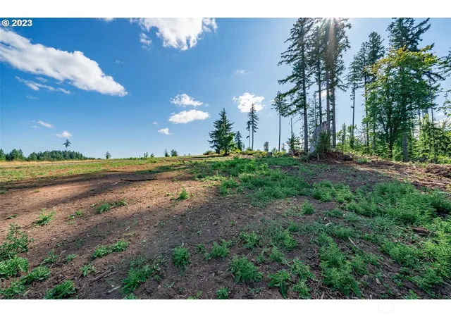 Photo 3 of Land for sale at 0 S Silver Lake Lot #1 Rd, Castle Rock, WA 98611 | MLS# NWM2343564 | Listing updated on 2026-09-17
