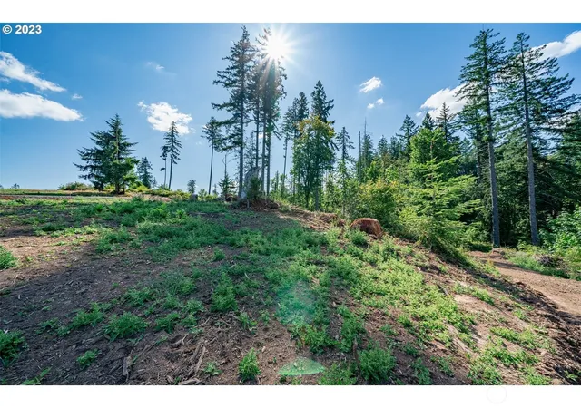 Photo 4 of Land for sale at 0 S Silver Lake Lot #1 Rd, Castle Rock, WA 98611 | MLS# NWM2343564 | Listing updated on 2026-09-17