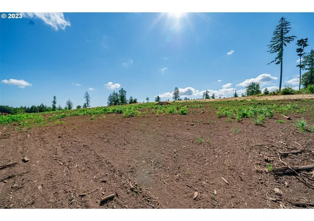 Photo 4 of Land for sale at 0 S Silver Lake Lot #4 Rd, Castle Rock, WA 98611 | MLS# NWM2343604 | Listing updated on 2026-09-17