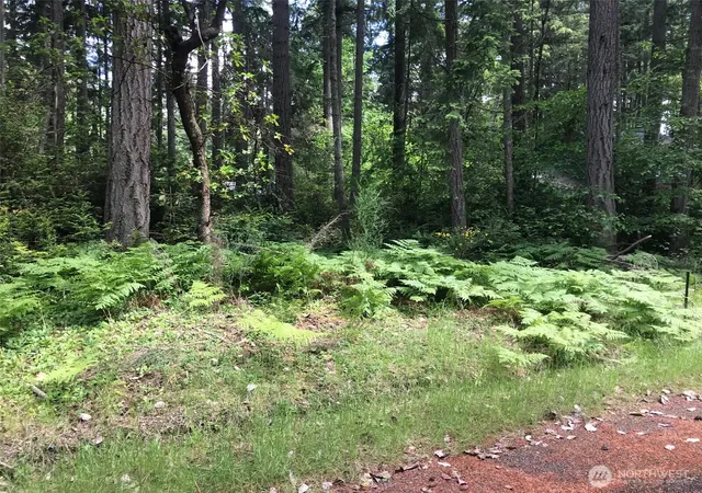 Photo 1 of Land for sale at 11205 110th Street, Anderson Island, WA 98303 | MLS# NWM2344215 | Listing updated on 2026-09-17