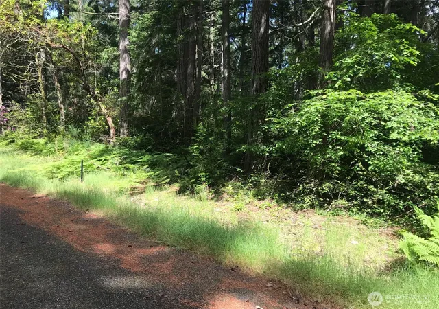 Photo 2 of Land for sale at 11205 110th Street, Anderson Island, WA 98303 | MLS# NWM2344215 | Listing updated on 2026-09-17
