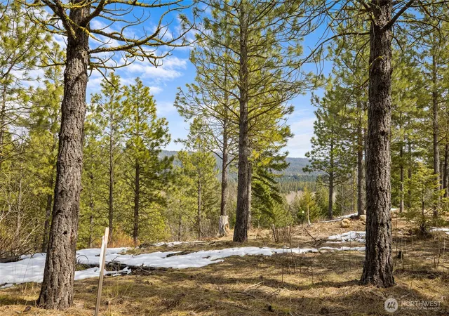Photo 1 of Land for sale at 541 Gold Leaf Ln, Cle Elum, WA 98922 | MLS# NWM2344222 | Listing updated on 2026-09-17