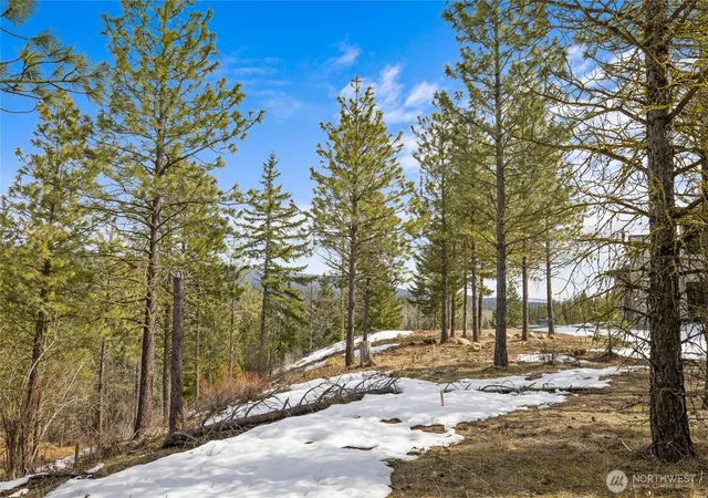 Photo 3 of Land for sale at 541 Gold Leaf Ln, Cle Elum, WA 98922 | MLS# NWM2344222 | Listing updated on 2026-09-17