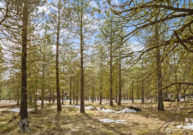 Photo 4 of Land for sale at 541 Gold Leaf Ln, Cle Elum, WA 98922 | MLS# NWM2344222 | Listing updated on 2026-09-17