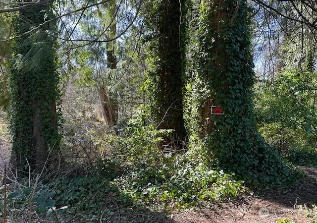 Photo 2 of Land for sale at 8537 State Hwy 303 Ne, Bremerton, WA 98311 | MLS# NWM2345281 | Listing updated on 2026-09-17