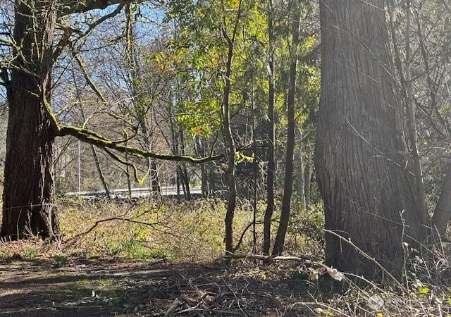 Photo 3 of Land for sale at 8537 State Hwy 303 Ne, Bremerton, WA 98311 | MLS# NWM2345281 | Listing updated on 2026-09-17