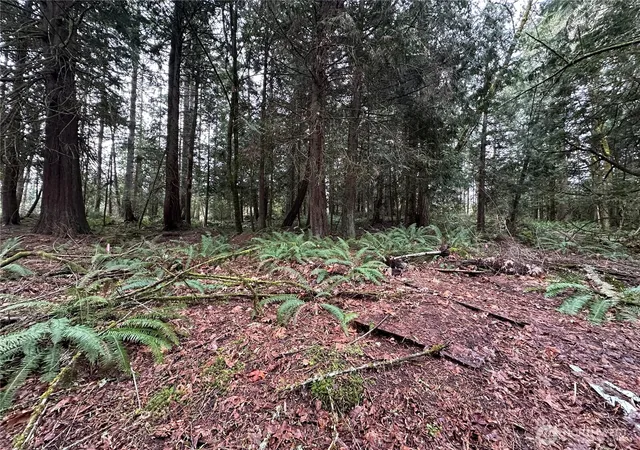 Photo 3 of Land for sale at 22 Lots Nevada Ave E, Port Orchard, WA 98366 | MLS# NWM2346449 | Listing updated on 2026-09-24