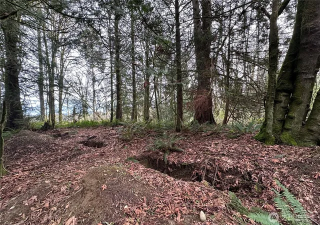 Photo 3 of Land for sale at 22 Lots Nevada Ave E, Port Orchard, WA 98366 | MLS# NWM2346449 | Listing updated on 2026-09-24