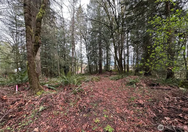 Photo 4 of Land for sale at 22 Lots Nevada Ave E, Port Orchard, WA 98366 | MLS# NWM2346449 | Listing updated on 2026-09-24