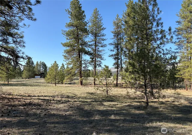 Photo 1 of Land for sale at 0 Tamarack Rd, Tonasket, WA 98855 | MLS# NWM2346704 | Listing updated on 2026-09-17