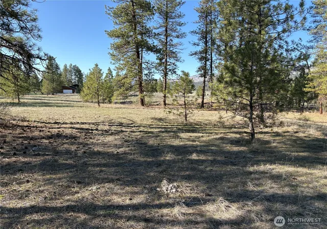 Photo 3 of Land for sale at 0 Tamarack Rd, Tonasket, WA 98855 | MLS# NWM2346704 | Listing updated on 2026-09-17