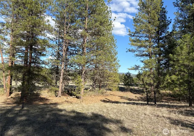 Photo 4 of Land for sale at 0 Tamarack Rd, Tonasket, WA 98855 | MLS# NWM2346704 | Listing updated on 2026-09-17