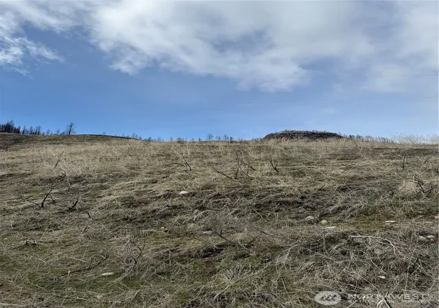 Photo 3 of Land for sale at 28 Eagles Blf Rd, Oroville, WA 98844 | MLS# NWM2346767 | Listing updated on 2026-09-17