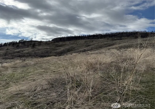 Photo 3 of Land for sale at 28 Eagles Blf Rd, Oroville, WA 98844 | MLS# NWM2346767 | Listing updated on 2026-09-17