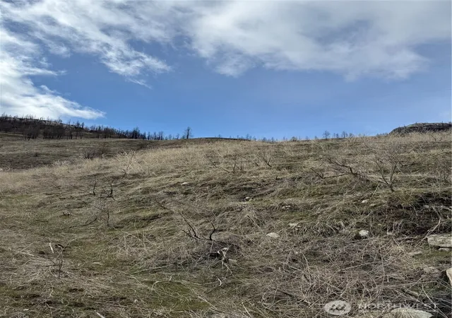 Photo 4 of Land for sale at 28 Eagles Blf Rd, Oroville, WA 98844 | MLS# NWM2346767 | Listing updated on 2026-09-17