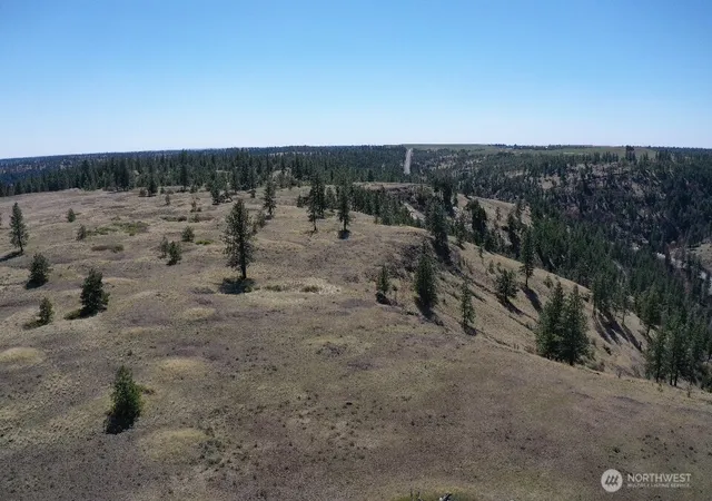 Photo 2 of Land for sale at 0 Xxx Miles Creston Rd N, Davenport, WA 99122 | MLS# NWM2347312 | Listing updated on 2026-09-17