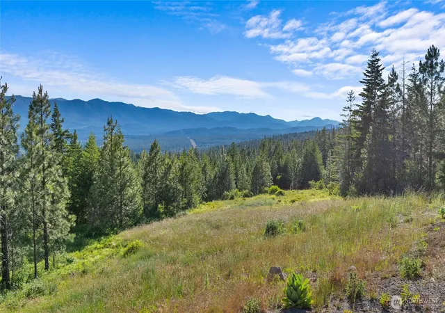 Photo 3 of Land for sale at 31 Forest Ridge Dr, Cle Elum, WA 98922 | MLS# NWM2347322 | Listing updated on 2026-09-17