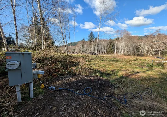 Land for sale at 215 Elk Crk Ridge Rd, Forks, WA 98331 | MLS# NWM2348238