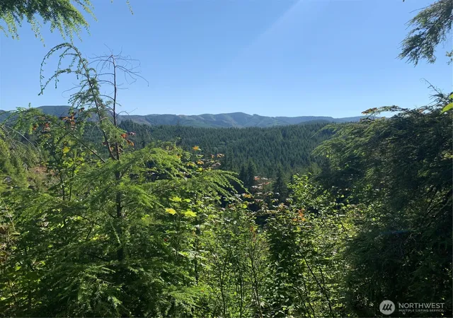 Photo 2 of Land for sale at 285 Parpala Rd, Naselle, WA 98638 | MLS# NWM2349040 | Listing updated on 2026-09-22
