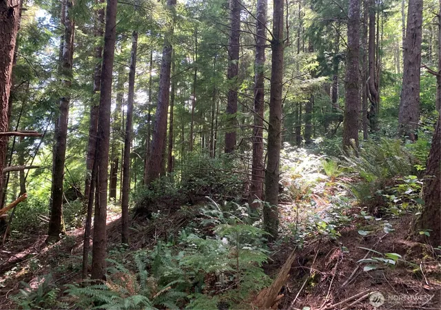 Photo 4 of Land for sale at 285 Parpala Rd, Naselle, WA 98638 | MLS# NWM2349040 | Listing updated on 2026-09-22